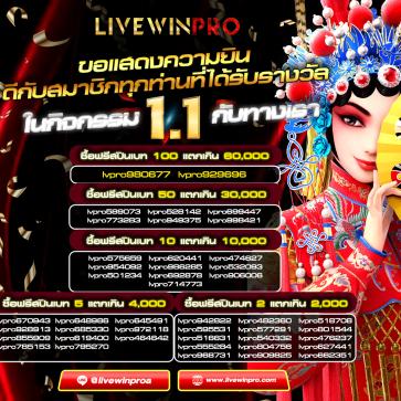 cgvtvmvU420250102190111